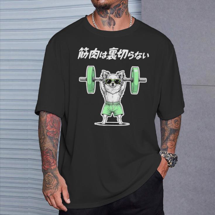 筋肉は裏切らない チワワ グッズ 犬 おもしろ 面白い ネタ 笑える 筋トレ Tシャツ 彼への贈り物