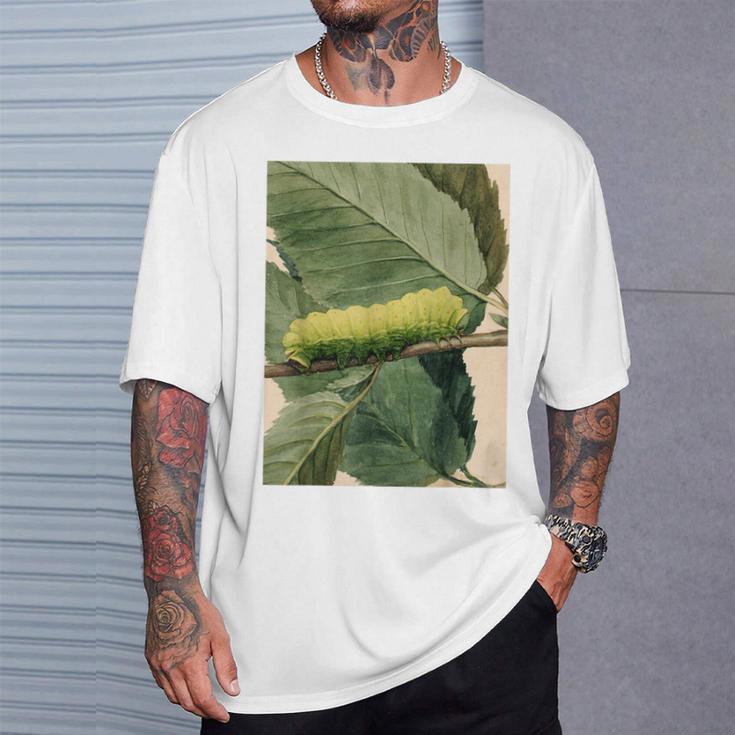 月の毛虫、ビンテージ昆虫画、ルナの幼虫 M Tシャツ 彼への贈り物