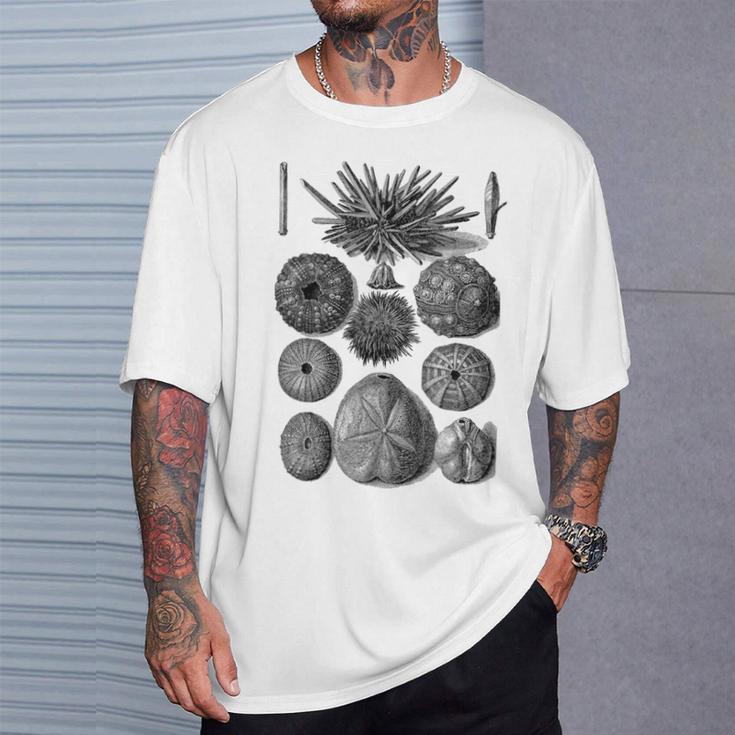 海洋学 海洋動物学 生物学者 航海ウニ Tシャツ 彼への贈り物