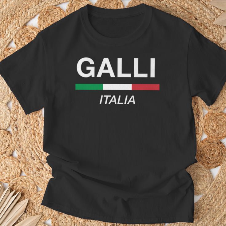 Galli イタリア製 ファミリーネーム イタリア 国旗 長袖tシャツ Tシャツ 高齢者への贈り物