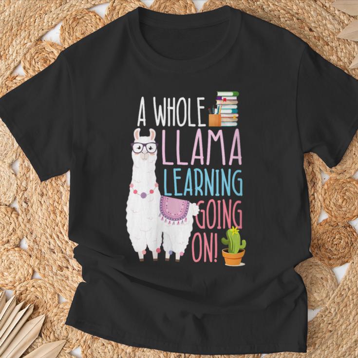 A Whole Llama Learning Going On Book Reading School Llama T-Shirt Gifts for Old Men A Whole Llama Learning Going On Book Reading School Llama T-Shirt Gifts for Old Men