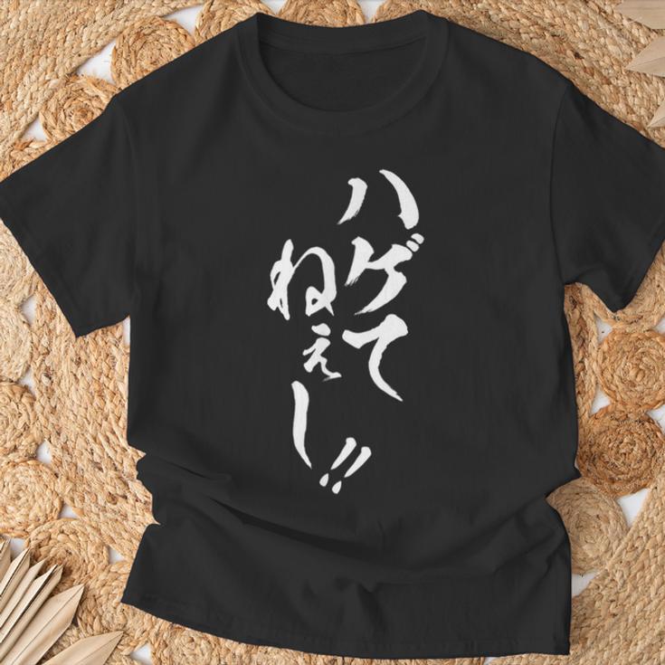 【ハゲてねぇし】毛筆 おもしろ 筆文字 面白い ギャグ ネタ ウケ狙い 笑える ユーモア お笑い 言葉 文字 Tシャツ 高齢者への贈り物