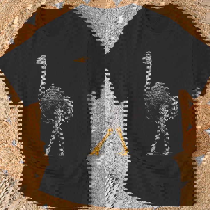 ダチョウ ポートレート 動物 モチーフ 描画 鳥 アート 長袖tシャツ Tシャツ 高齢者への贈り物