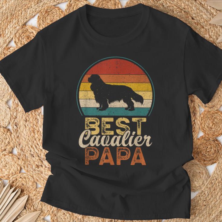 ベスト・キャバリア・パパ、キング・チャールズ・スパニエル Tシャツ 高齢者への贈り物