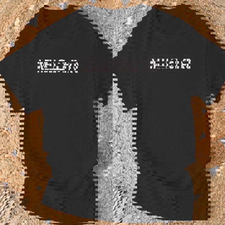 メルちゃんのペット いぬのポコちゃん バックプリント2 Tシャツ 高齢者への贈り物