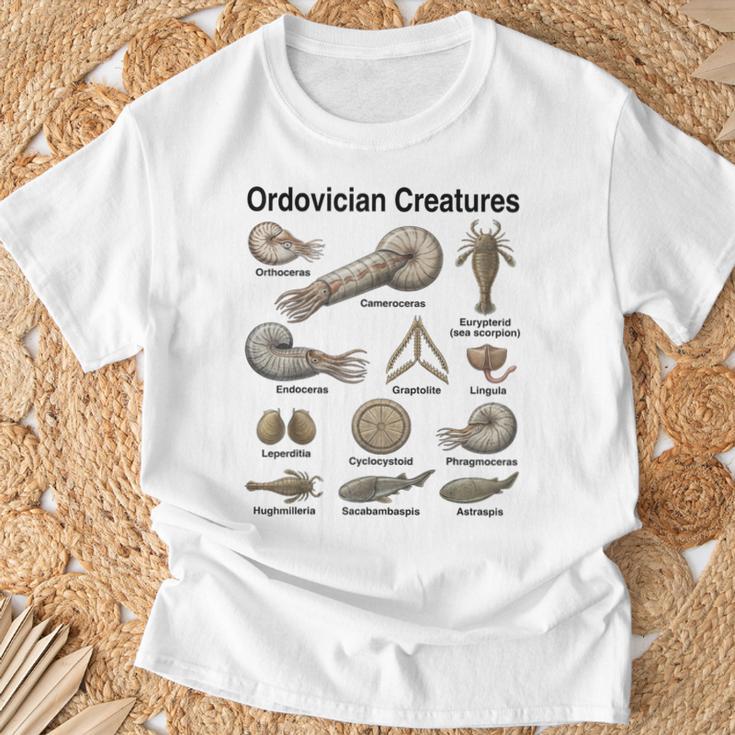 オルドビス紀の生き物 古生物学 古代海洋生物 Tシャツ 高齢者への贈り物