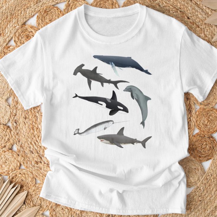 シャチ ジンベイザメ イッカク イルカ 海の生き物 Tシャツ 高齢者への贈り物