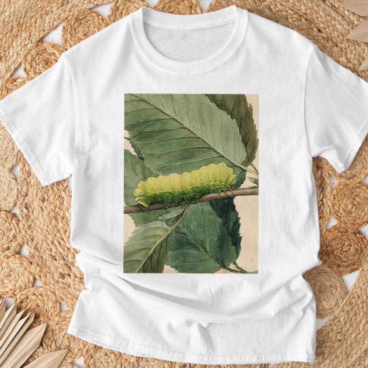 月の毛虫、ビンテージ昆虫画、ルナの幼虫 M Tシャツ 高齢者への贈り物