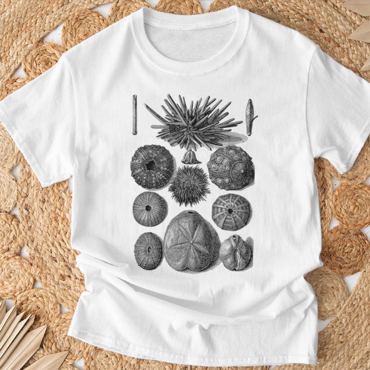 海洋学 海洋動物学 生物学者 航海ウニ Tシャツ 高齢者への贈り物