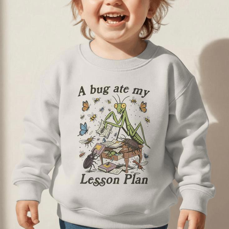 Bug Lover Insect Back To School A Bug Ate My Lesson Plan Graphic Toddler Sweatshirt Bug Lover Insect Back To School A Bug Ate My Lesson Plan Graphic Toddler Sweatshirt