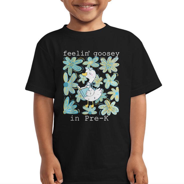 Silly Goose Back To School Feelin’ Goosey Pre-K Graphic Kid T-Shirt