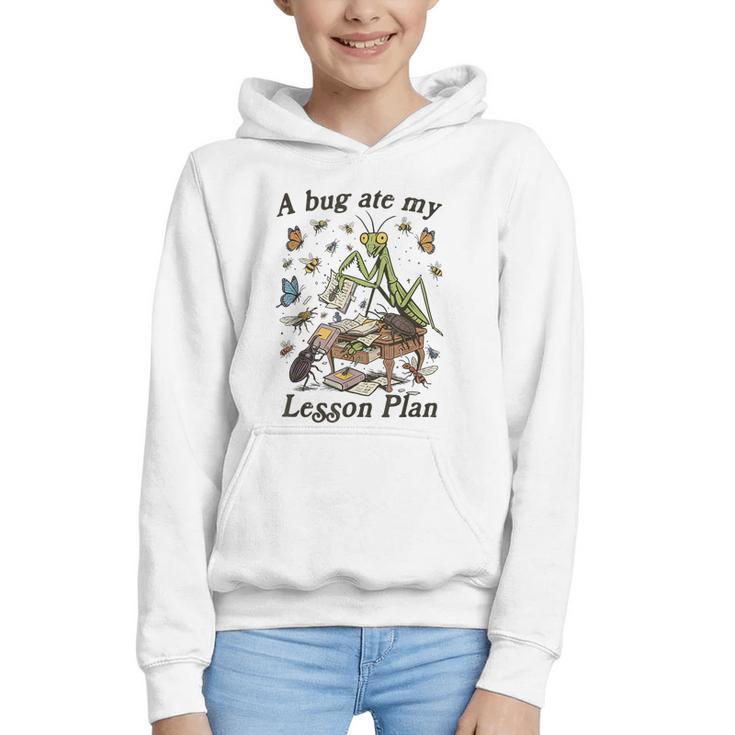 Bug Lover Insect Back To School A Bug Ate My Lesson Plan Graphic Youth Hoodie