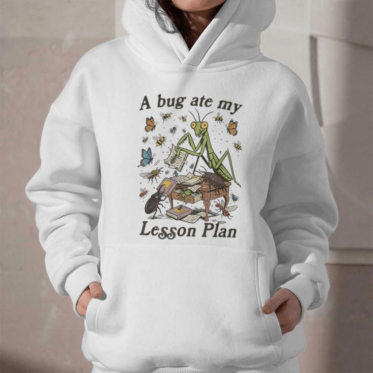 Bug Lover Insect Back To School A Bug Ate My Lesson Plan Graphic Youth Hoodie