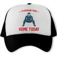 I'm Working From Home Today Baseball Lover Men Women Trucker Cap I'm Working From Home Today Baseball Lover Men Women Trucker Cap