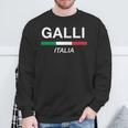 Galli イタリア製 ファミリーネーム イタリア 国旗 長袖tシャツ スウェットシャツ 高齢者への贈り物
