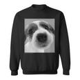 Artlist Collection The Dog ジャック・ラッセル・テリア スウェットシャツ