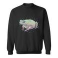 Fae Fairy Witchy Whimsigoth Goblincore Cottagecore Toad Frog スウェットシャツ