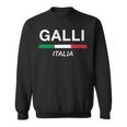 Galli イタリア製 ファミリーネーム イタリア 国旗 長袖tシャツ スウェットシャツ