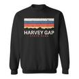 Harvey Gaptate Park コロラドレトロ Co スウェットシャツ