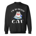 I'm An Indoor Cat I Drink Coffee Read Books Play Games Sweatshirt