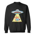 Ufo Abduction Red Panda Reading Book Sweatshirt