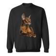 アビシニアン猫 長袖tシャツ スウェットシャツ