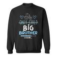 キッズ Big Brother Only Child Tractor Baby Reveal スウェットシャツ