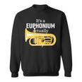 ブラスバンドのユーフォニアム奏者のための面白いユーフォニアムジョーク「 Euphonium Humour 」 スウェットシャツ