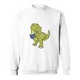 Dinosaur Book LoverRex Sad Arms Too Short To Reader Premium Tri-Blend Sweatshirt