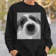 Artlist Collection The Dog ジャック・ラッセル・テリア スウェットシャツ 彼への贈り物