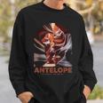 アンテロープレッドロックス アリゾナキャニオン スウェットシャツ 彼への贈り物