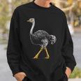 ダチョウ ポートレート 動物 モチーフ 描画 鳥 アート 長袖tシャツ スウェットシャツ 彼への贈り物