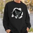 面白いtシャツ フレンチブルドッグ 犬 イヌ わんこ メンズ 犬好き グッズ かわいい 面白い 服 ネタ スウェットシャツ 彼への贈り物