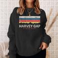 Harvey Gaptate Park コロラドレトロ Co スウェットシャツ 彼女への贈り物