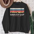 Harvey Gaptate Park コロラドレトロ Co スウェットシャツ 年配の女性への贈り物