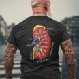 腎臓の解剖学 腎臓学 メンズTシャツ バックプリント 高齢者への贈り物