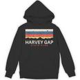Harvey Gaptate Park コロラドレトロ Co パーカー