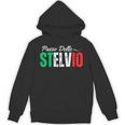 イタリア山アルプス旅行 パッソ・デッロ・ステルヴィオ メンズ レディース パーカー
