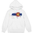 コロラド州旗バッファローtシャツ 美しいネイティブコロラドtシャツ パーカー