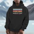 Harvey Gaptate Park コロラドレトロ Co パーカー