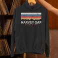 Harvey Gaptate Park コロラドレトロ Co パーカー