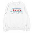 Sweet Vintage Retro Chicago City Flag Bear Print Raglan Baseball Tee Unisex Sweatshirt Sweet Vintage Retro Chicago City Flag Bear Print Raglan Baseball Tee Unisex Sweatshirt