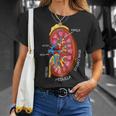 腎臓の解剖学 腎臓学 Tシャツ 彼女への贈り物