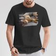 アビシニアン・フェリス・カタス Tシャツ 面白い贈り物