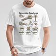 オルドビス紀の生き物 古生物学 古代海洋生物 Tシャツ 面白い贈り物
