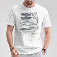 ヴィンテージ クジラ イラスト 生物学 科学 海 Tシャツ 面白い贈り物