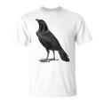 カラス ヴィンテージ イラスト カラス Tシャツ