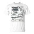 ヴィンテージ クジラ イラスト 生物学 科学 海 Tシャツ