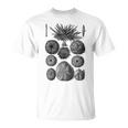 海洋学 海洋動物学 生物学者 航海ウニ Tシャツ
