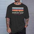 Harvey Gaptate Park コロラドレトロ Co Tシャツ 彼への贈り物